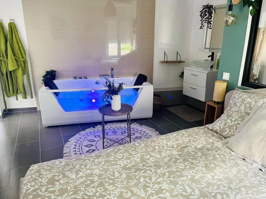 Appartement Glamour Tout Equipe Avec Balneo Et Sauna Nancy Ngoại thất bức ảnh